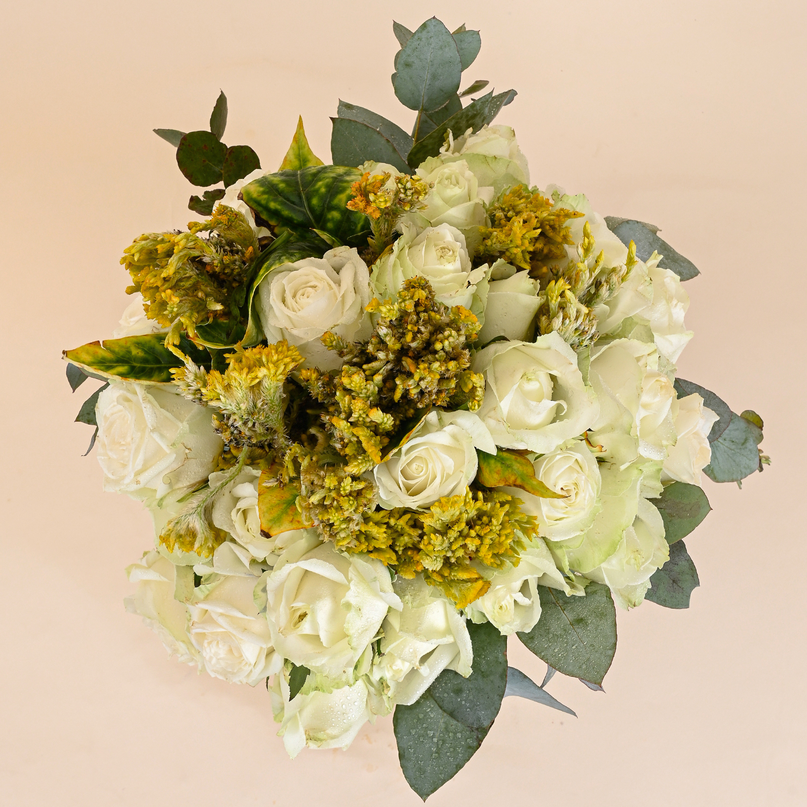 Golden Ivory Bloom - Image 3