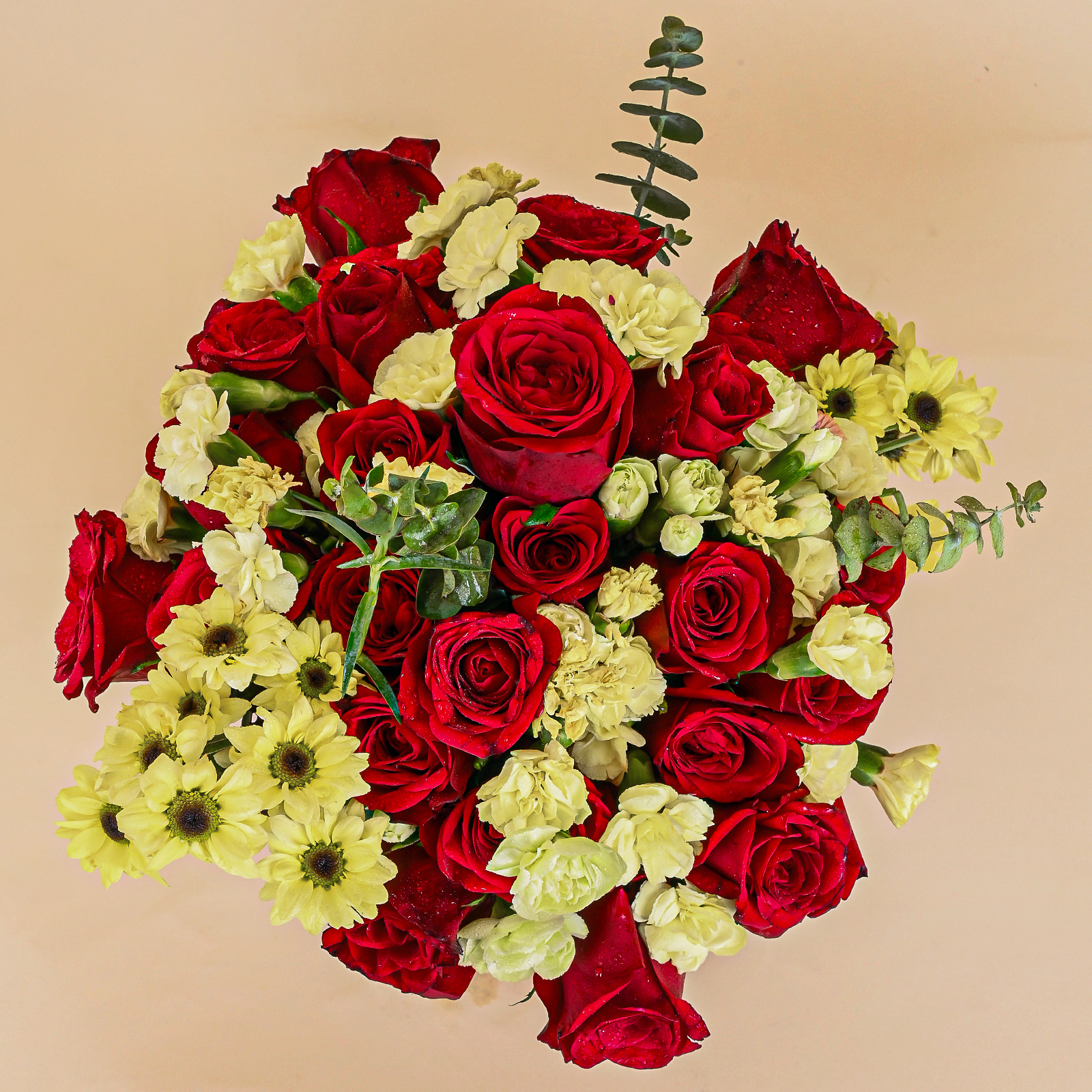 Sunlit Scarlet - Image 2